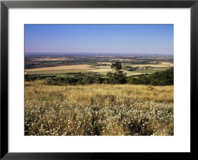 View From The Ridgeway Of The Vale Of Aylesbury, Buckinghamshire, England, United Kingdom by David Hughes Pricing Limited Edition Print image