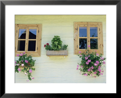 Windows Of One Of Unique Village Architecture Houses In Vlkolinec Village, Velka Fatra Mountains by Richard Nebesky Pricing Limited Edition Print image