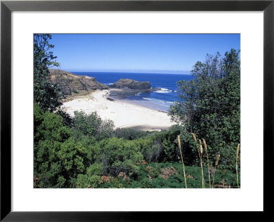 View Over Trees To Trbeach And Bushranger Bay, Mornington Peninsula, Victoria, Australia by Richard Nebesky Pricing Limited Edition Print image