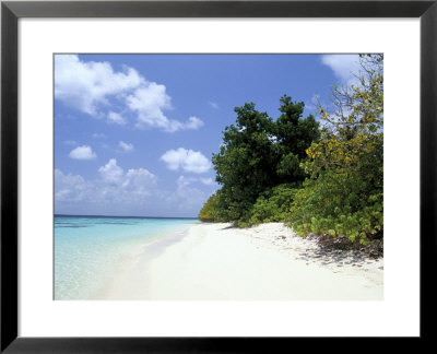 Mendu Island, Baa Atoll, Maldives, Indian Ocean by Sergio Pitamitz Pricing Limited Edition Print image
