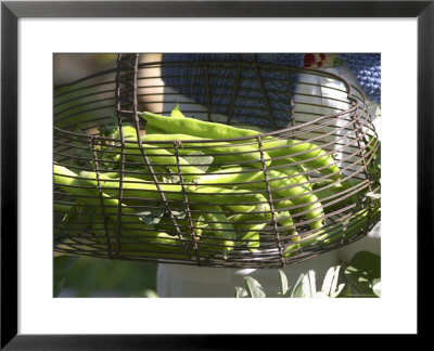 Green Beans In Vegetable Garden, Clos Des Iles, Le Brusc, Var, Cote D'azur, France by Per Karlsson Pricing Limited Edition Print image