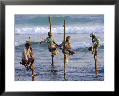 Stilt Fishermen, Weligama, Sri Lanka, Asia by Upperhall Ltd Pricing Limited Edition Print image