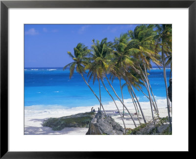 Palm Trees And Beach, Bottom Bay, Barbados, Caribbean, West Indies, Central America by John Miller Pricing Limited Edition Print image