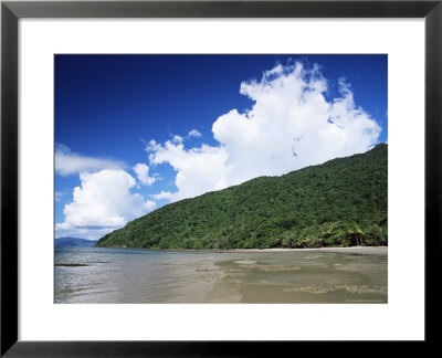 Great Barrier Reef And Rainforest, Queensland, Australia, Pacific by Jochen Schlenker Pricing Limited Edition Print image