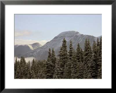Mountains And Evergreens With Snow, Near Ouray, Colorado, United States Of America, North America by James Hager Pricing Limited Edition Print image