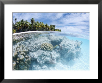 Fakarawa, Tuamotu Archipelago, French Polynesia, Pacific Islands, Pacific by Sergio Pitamitz Pricing Limited Edition Print image