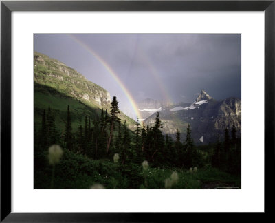 Double Rainbow With Bear Grass In Foreground, Montana, Usa by Aaron Mccoy Pricing Limited Edition Print image