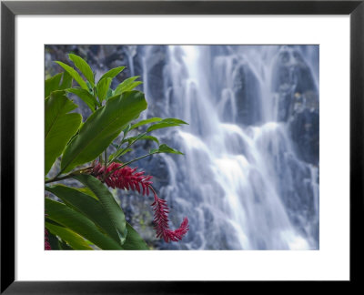 Kepirohi Waterfall, Pohnpei, Federated States Of Micronesia by Michele Falzone Pricing Limited Edition Print image