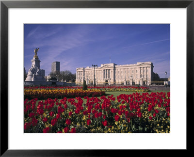 Buckingham Palace, London, England by Jon Arnold Pricing Limited Edition Print image