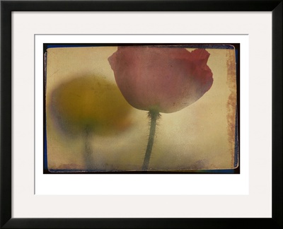 Close Up Of Flower Stem by Mia Friedrich Pricing Limited Edition Print image