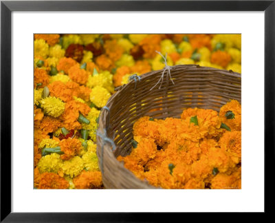Flower Market, Calcutta, West Bengal, India by Peter Adams Pricing Limited Edition Print image