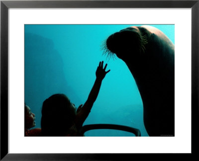 New York Aquarium, Coney Island, New York City, New York by Dan Herrick Pricing Limited Edition Print image