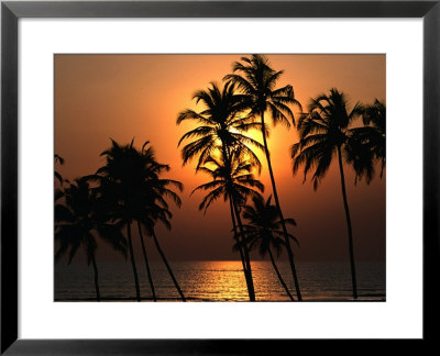 Sunset Through The Coconut Palms On Mandrem Back Beach by Paul Bigland Pricing Limited Edition Print image