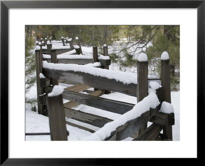 Fence Post At Donner Lake Area Covered In Fresh Snow, California by Rich Reid Pricing Limited Edition Print image