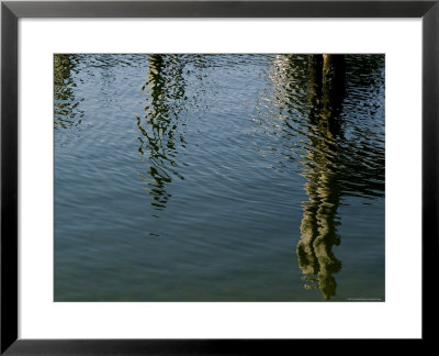 Pilings Of A Pier Reflected In Block Island Sound by Todd Gipstein Pricing Limited Edition Print image