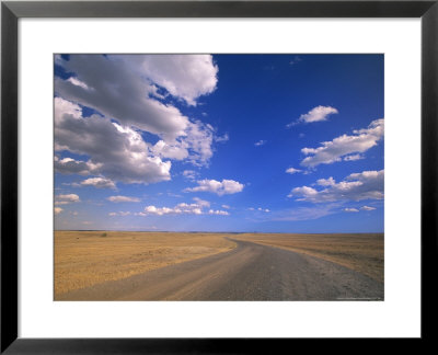 Cumulus Clouds Above A Dirt Road On A Wyoming Prairie by John Eastcott & Yva Momatiuk Pricing Limited Edition Print image