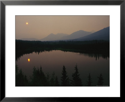 Sun And Evergreen Trees Casting Reflections In Water At Twilight by Michael S. Quinton Pricing Limited Edition Print image