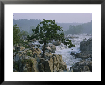 View Of Waterfalls At Great Falls State Park At Dawn by Raymond Gehman Pricing Limited Edition Print image