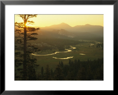 View At Dawn Of The Tuolumne River Winding Through Tuolumne Meadows by Phil Schermeister Pricing Limited Edition Print image