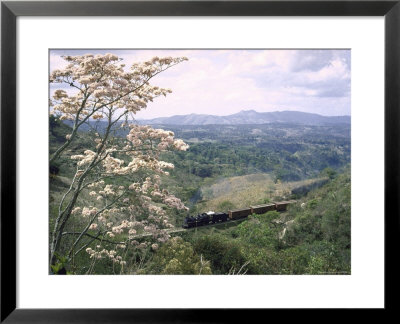 Narrow Gauge Rail Line Transporting Goods Between Guatemala And El Salvador by John Dominis Pricing Limited Edition Print image