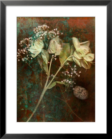 Wilted White Rose And Baby's Breath by Robert Cattan Pricing Limited Edition Print image