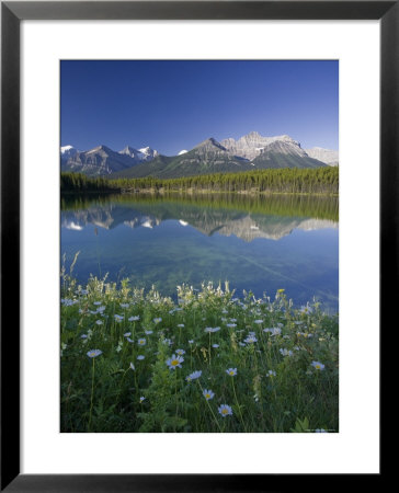 Bow Mountain Range And Herbert Lake, Banff National Park, Alberta, Canada by Michele Falzone Pricing Limited Edition Print image