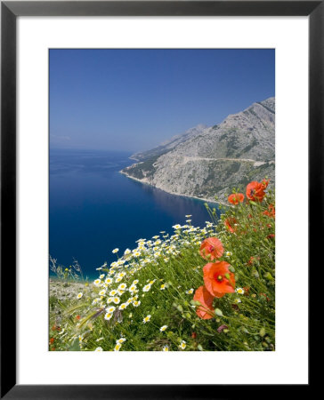 Dalmatian Coast, Croatia by Russell Young Pricing Limited Edition Print image