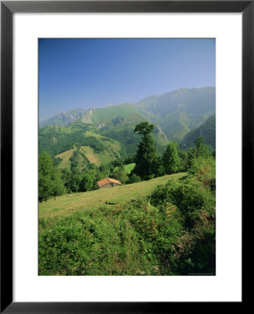 Sierra Dobros, Picos De Europa Mountains, (Green Spain), Asturias, Spain by David Hughes Pricing Limited Edition Print image