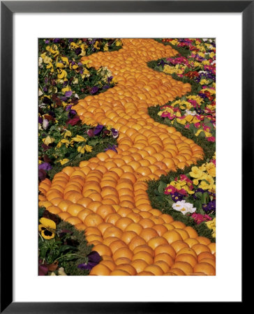 Carpet Of Oranges And Flowers, Lemon Festival, Menton, Cote D'azur, Provence, France by Ruth Tomlinson Pricing Limited Edition Print image