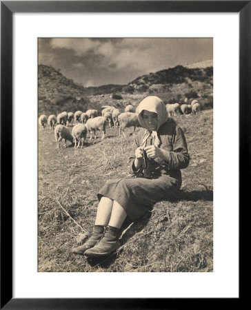 Young Shepherd Girl Sitting In A Field by Ludovico Pacho Pricing Limited Edition Print image