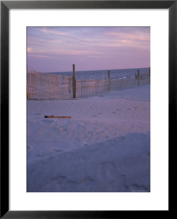 Dune Erosion Fence On The Beach In The Outer Banks by Stacy Gold Pricing Limited Edition Print image