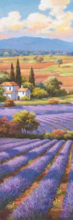 Fields Of Lavender Ii by Sung Kim Pricing Limited Edition Print image