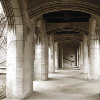 The Corridor by Steven Mitchell Pricing Limited Edition Print image