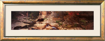Nature's Colors, Oak Creek Canyon, Arizona by Lonna Tucker Pricing Limited Edition Print image