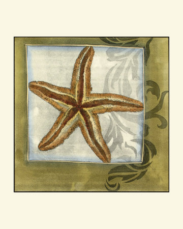 Starfish Medley Ii by Jennifer Goldberger Pricing Limited Edition Print image