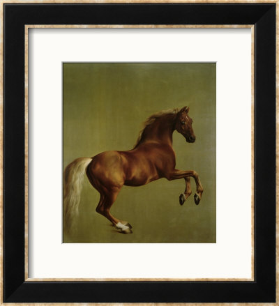Whistlejacket, 1762 by George Stubbs Pricing Limited Edition Print image