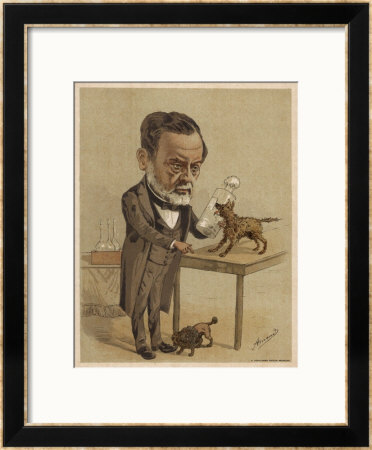 Louis Pasteur French Chemist by Amand Pricing Limited Edition Print image