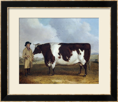 A Prize Friesian Bull With A Cowherd In A Landscape by Richard Whitford Pricing Limited Edition Print image