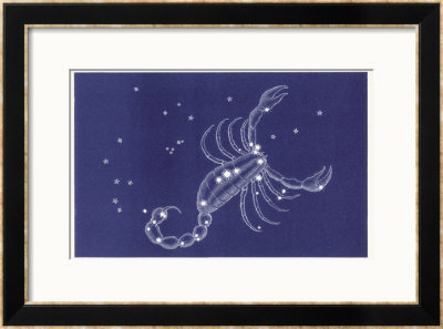 Scorpio by Roberta Norton Pricing Limited Edition Print image