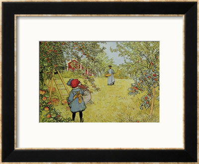 The Apple Harvest by Carl Larsson Pricing Limited Edition Print image
