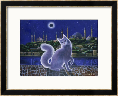 Angora Cat, Istanbul by Isy Ochoa Pricing Limited Edition Print image