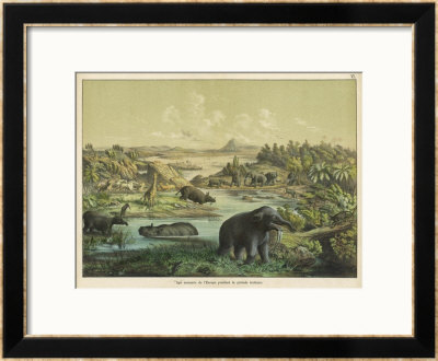 Animals And Plants Of The Tertiary Era In Europe by Ferdinand Von Hochstetter Pricing Limited Edition Print image