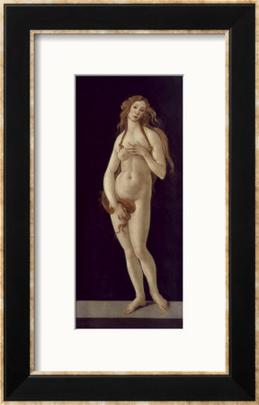 Venus Pudica by Sandro Botticelli Pricing Limited Edition Print image