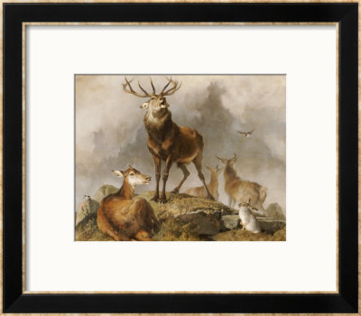 Scene In Braemar, Highland Deer by Edwin Henry Landseer Pricing Limited Edition Print image