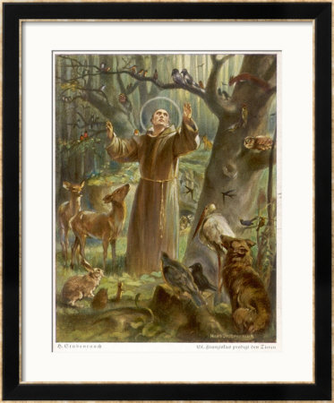Saint Francis Of Assisi, Preaching To The Animals by Hans Stubenrauch Pricing Limited Edition Print image
