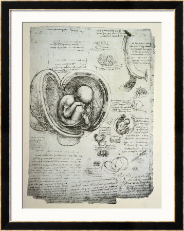 The Human Foetus In The Womb, Facsimile Copy by Leonardo Da Vinci Pricing Limited Edition Print image