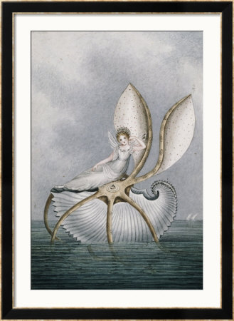 A Fairy Resting On A Shell by Amelia Jane Murray Pricing Limited Edition Print image