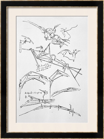 Sketches Of Flying Machines by Leonardo Da Vinci Pricing Limited Edition Print image