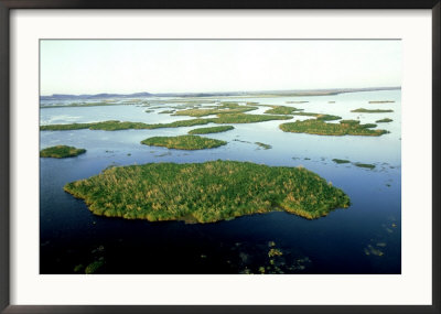 Aerial Of Tampico Wetlands, Mexico by Patricio Robles Gil Pricing Limited Edition Print image
