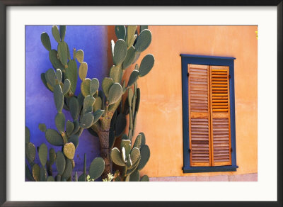 Southwestern Cactus And Window, Tucson, Arizona, Usa by Tom Haseltine Pricing Limited Edition Print image